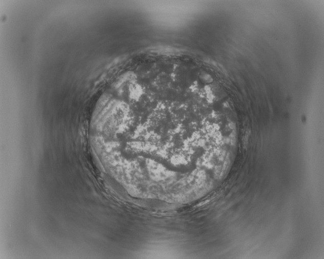 X0000088181397200706121639