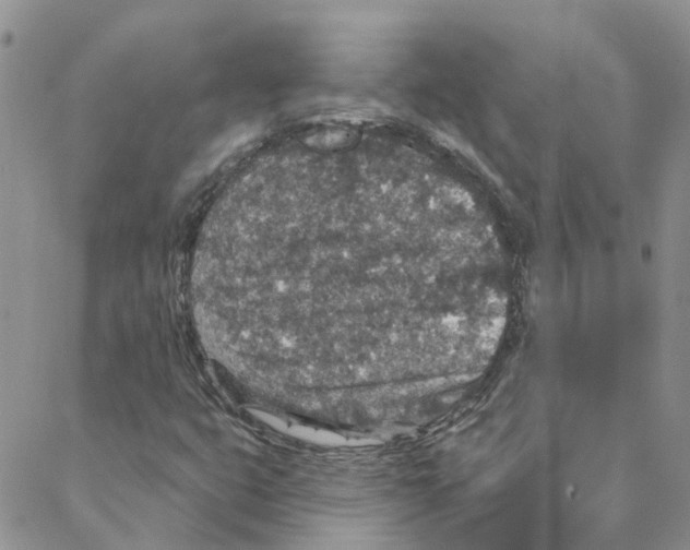 X0000088181399200706121639