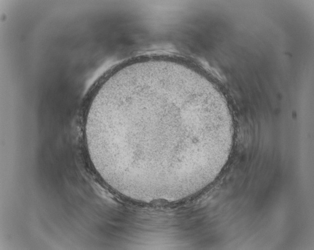 X0000088181400200706121639