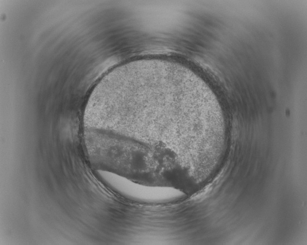 X0000088181401200706121639