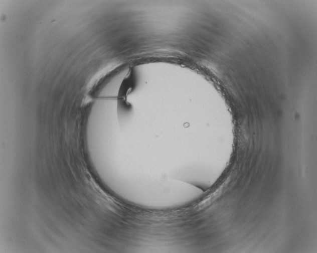 X0000088181402200706121639