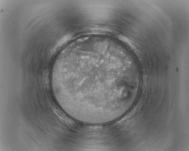 X0000088181403200706121639