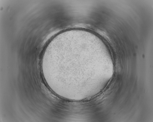 X0000088181404200706121639