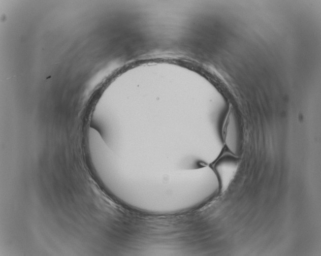 X0000088181406200706121639