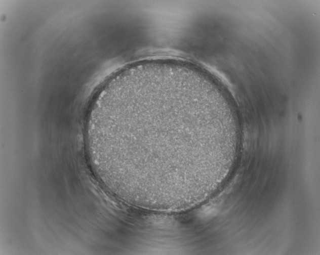 X0000088181407200706121639