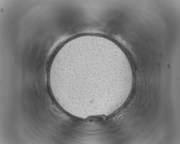 X0000088181408200706121639