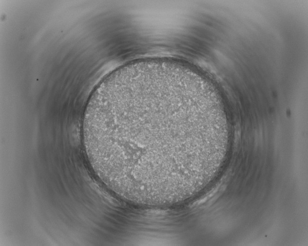 X0000088181409200706121639