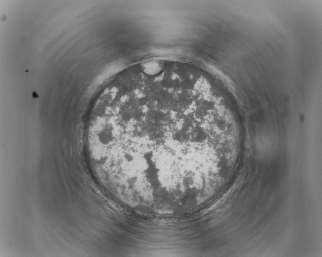 X0000088181411200706121639