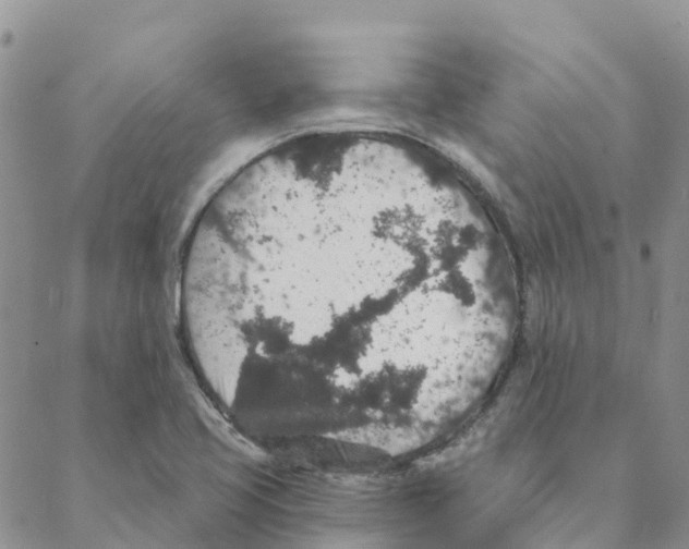 X0000088181413200706121639