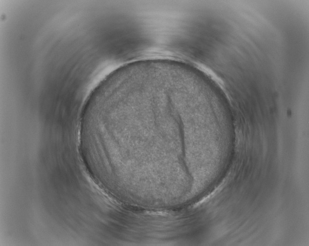 X0000088181415200706121639