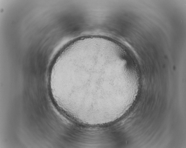 X0000088181416200706121640