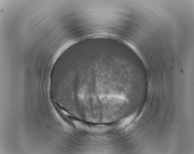 X0000088181418200706121640