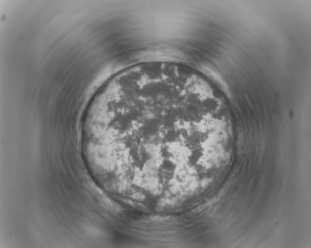 X0000088181419200706121640