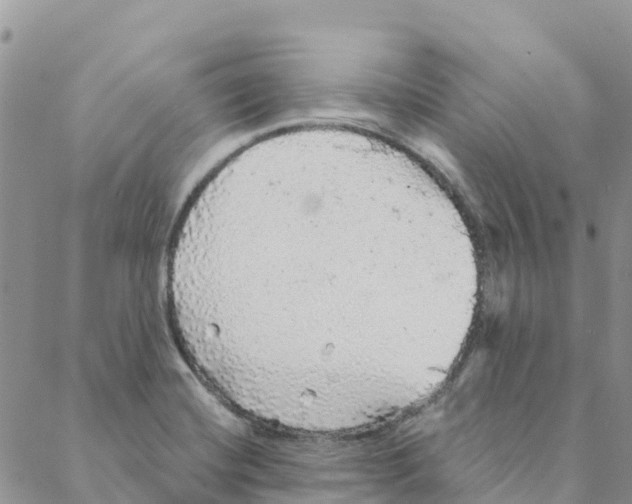 X0000088181420200706121640