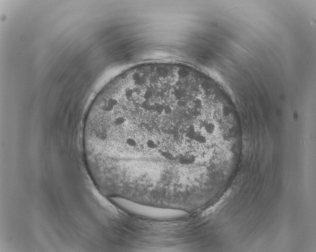 X0000088181421200706121640