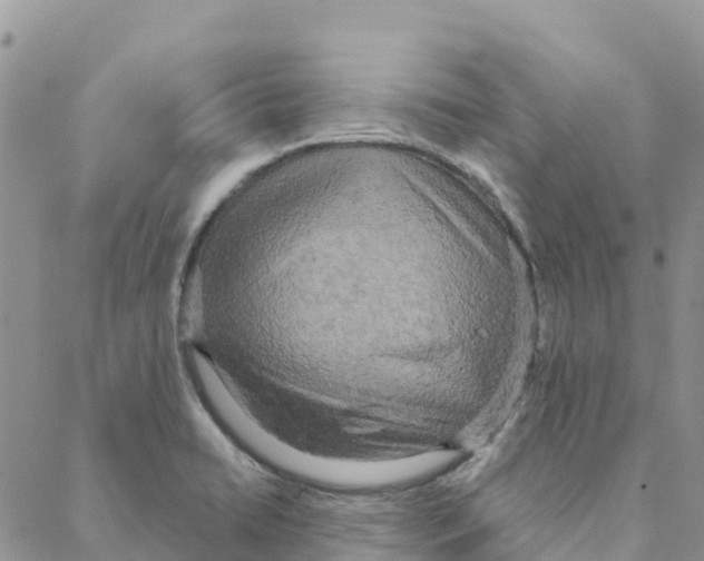 X0000088181422200706121640