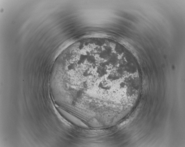 X0000088181425200706121640