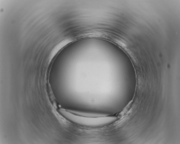 X0000088181426200706121640