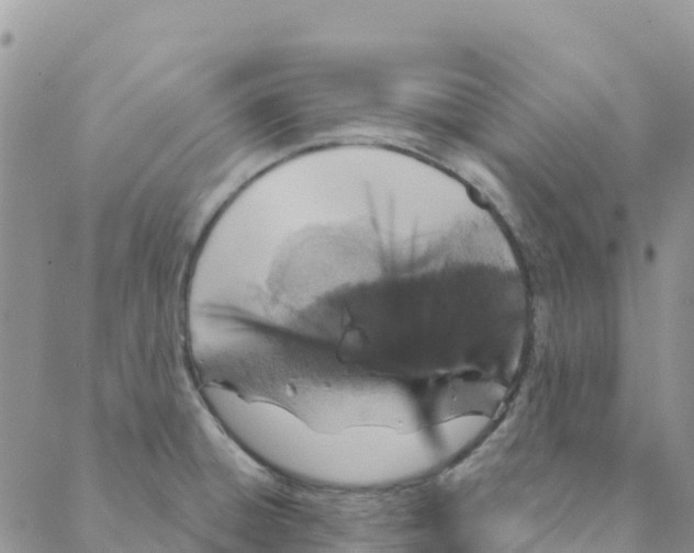 X0000088181428200706121640