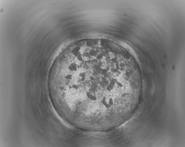 X0000088181429200706121640