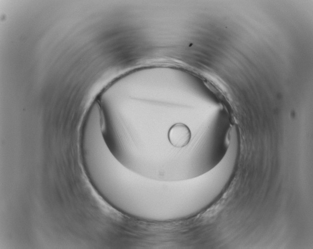 X0000088181430200706121640