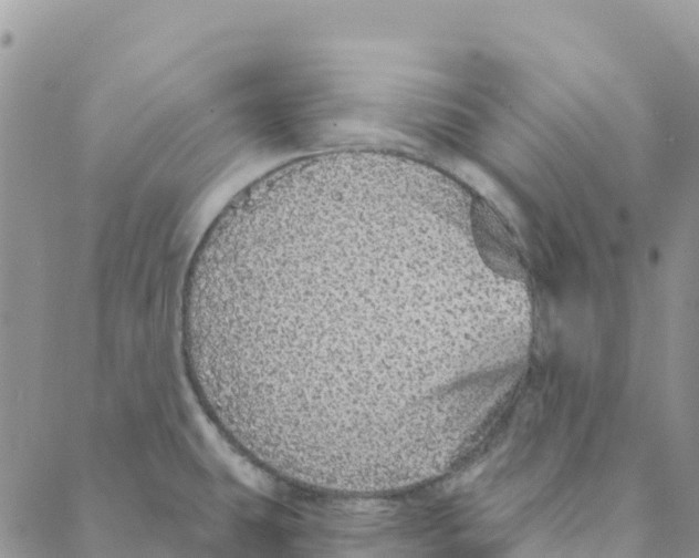 X0000088181431200706121640