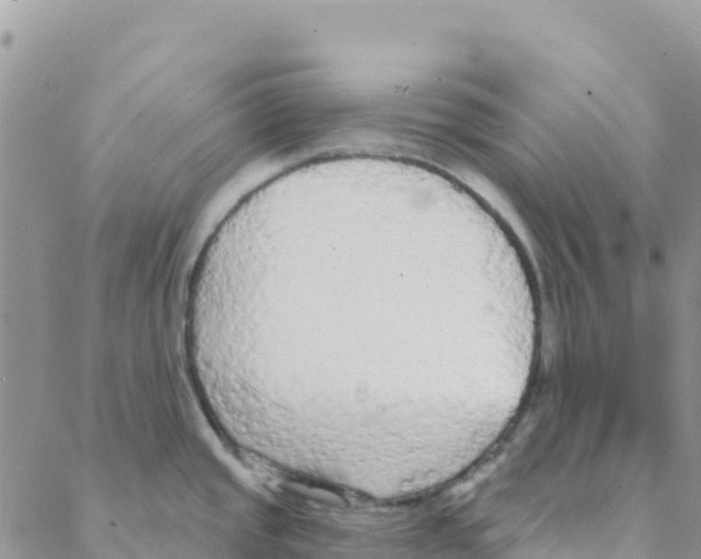 X0000088181437200706121640