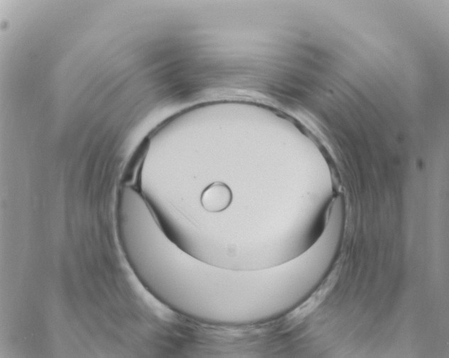 X0000088181438200706121640