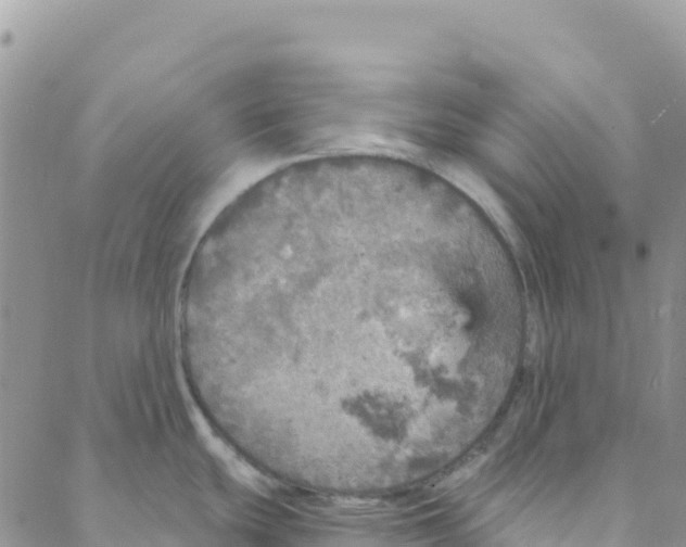 X0000088181439200706121640