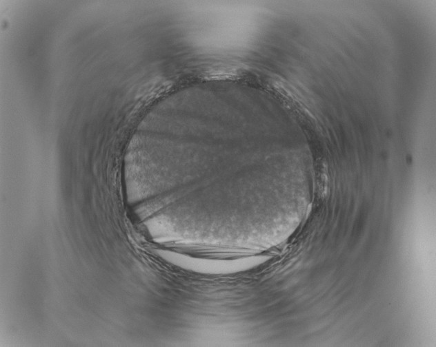 X0000088181441200706121639