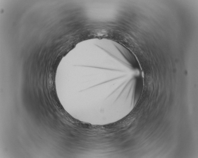 X0000088181442200706121639