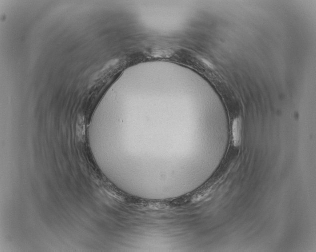 X0000088181443200706121639