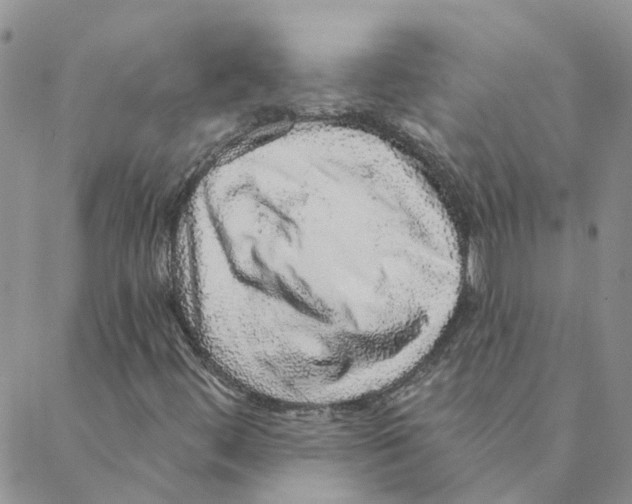 X0000088181444200706121639