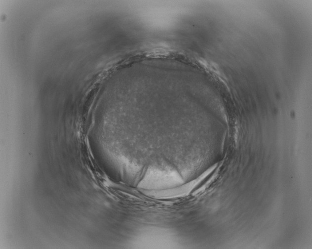 X0000088181445200706121639