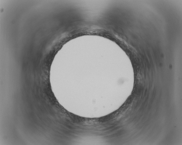 X0000088181447200706121639