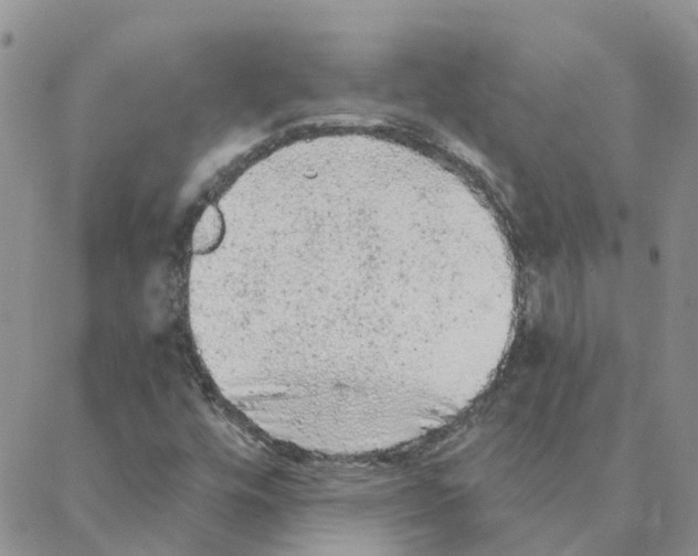 X0000088181448200706121639