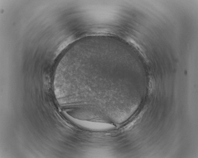 X0000088181449200706121639