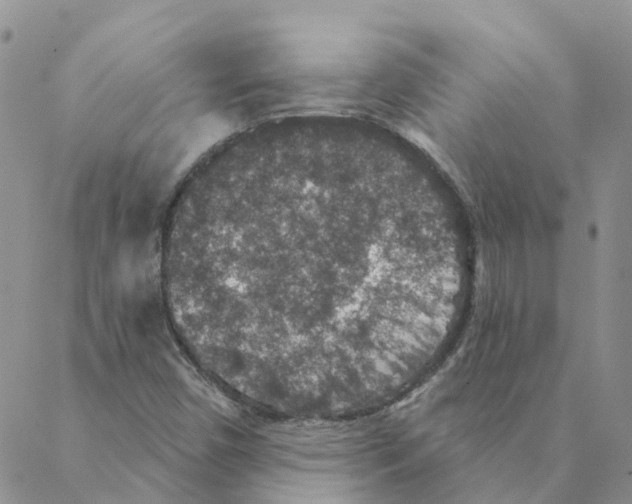 X0000088181450200706121639