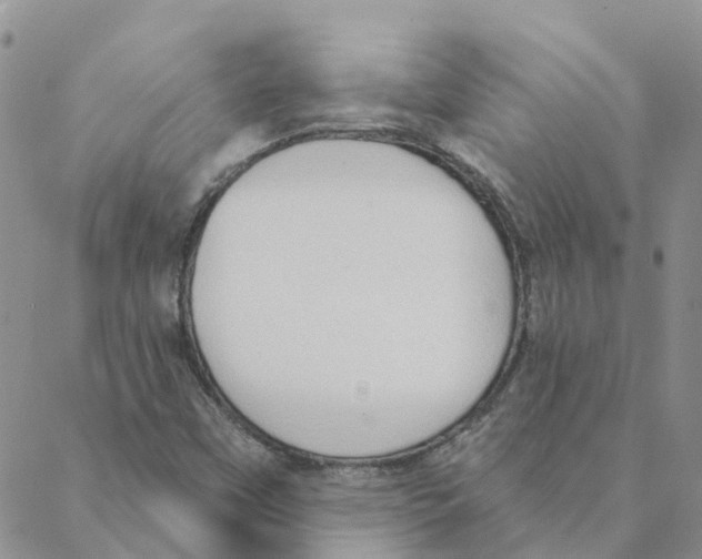 X0000088181451200706121639