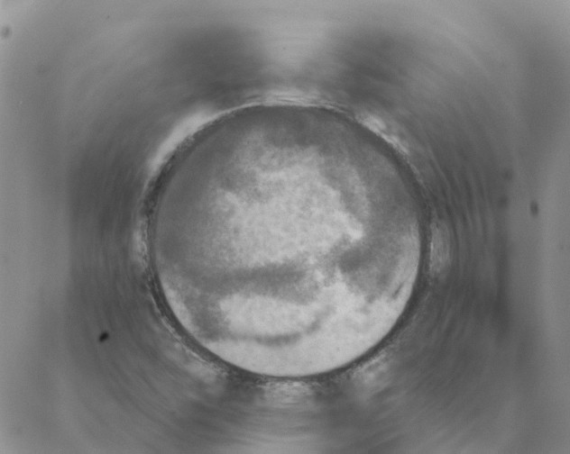 X0000088181454200706121639