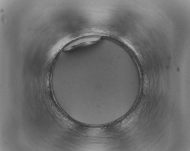 X0000088181455200706121639