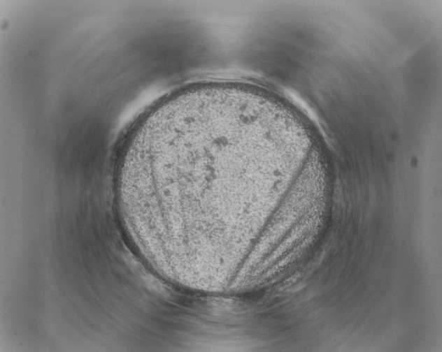 X0000088181456200706121639