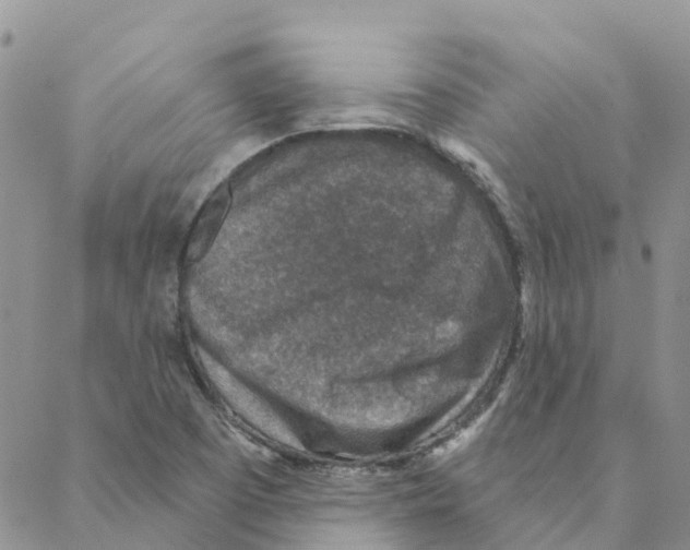 X0000088181457200706121639