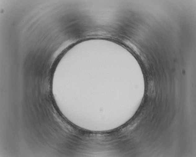 X0000088181458200706121639