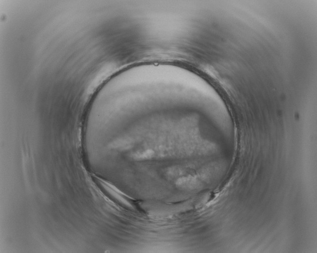 X0000088181459200706121639