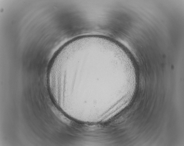 X0000088181460200706121639