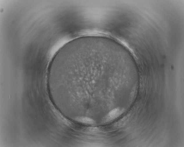 X0000088181463200706121639