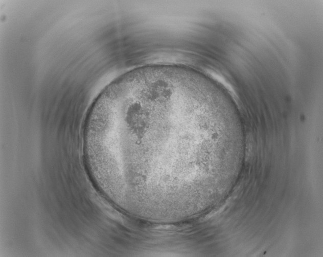 X0000088181467200706121639