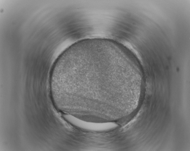 X0000088181469200706121639