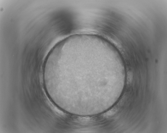 X0000088181470200706121639